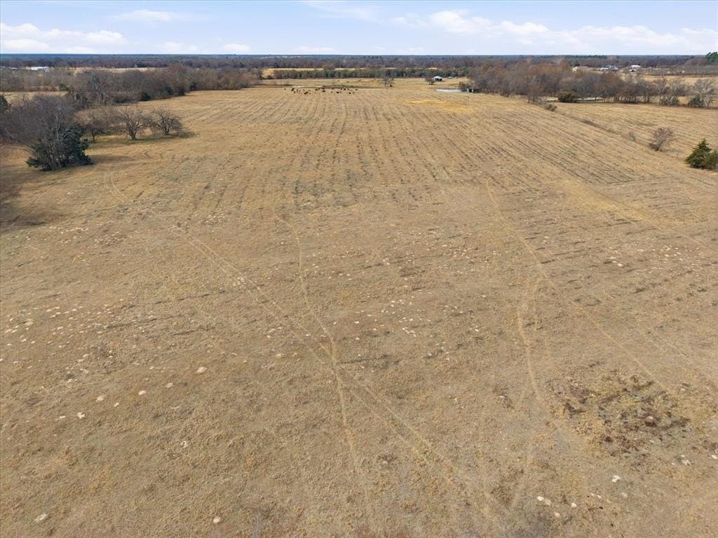 81.88 acres in Rains County - photo 16