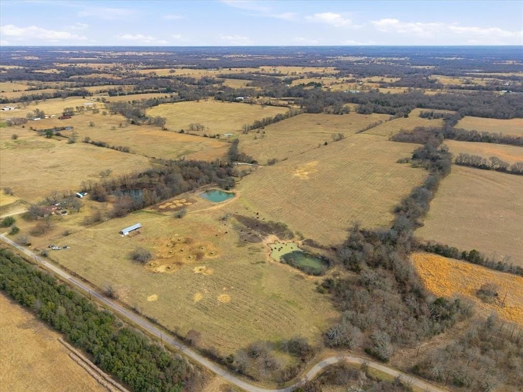 81.88 acres in Rains County - photo 5
