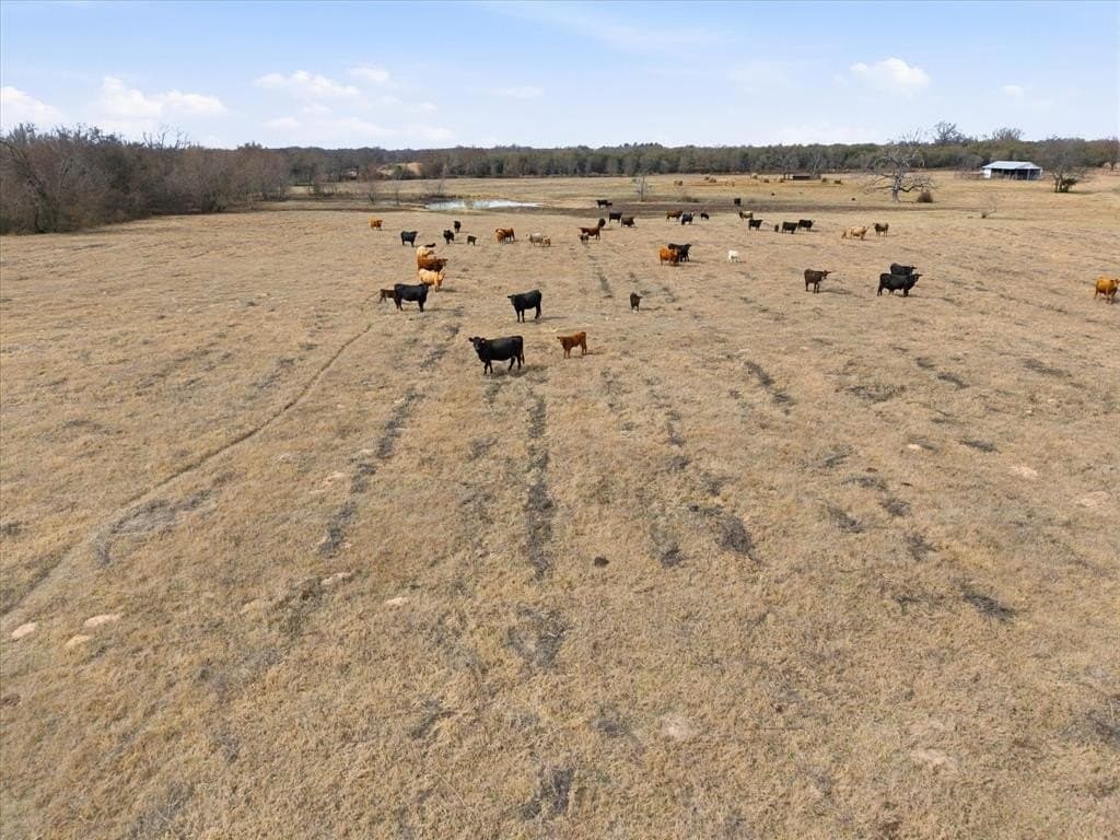 81.88 acres in Rains County - photo 17