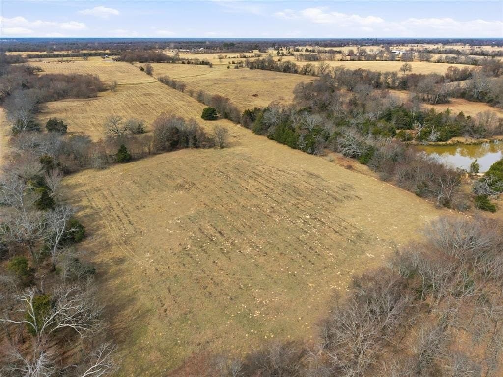 81.88 acres in Rains County - photo 15