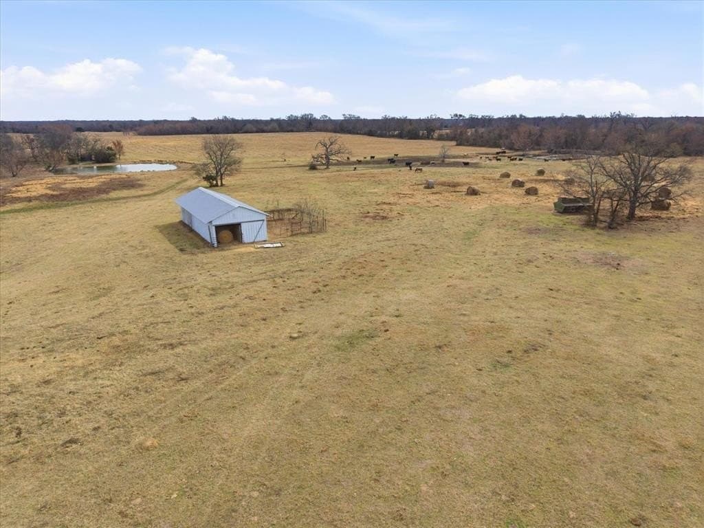 81.88 acres in Rains County - photo 8