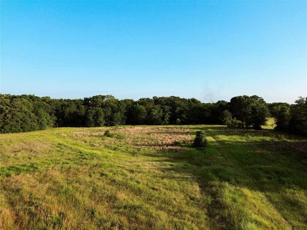 32 acres in Henderson County - photo 8