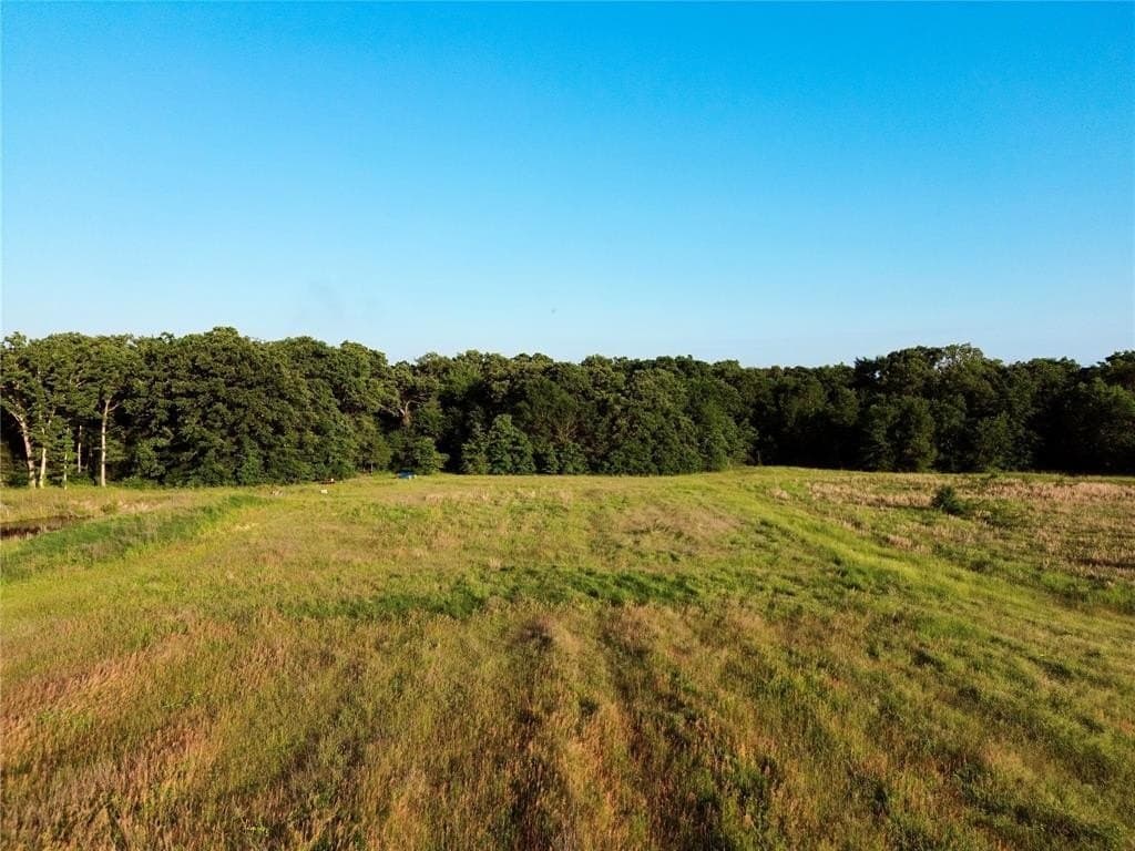 32 acres in Henderson County - photo 7