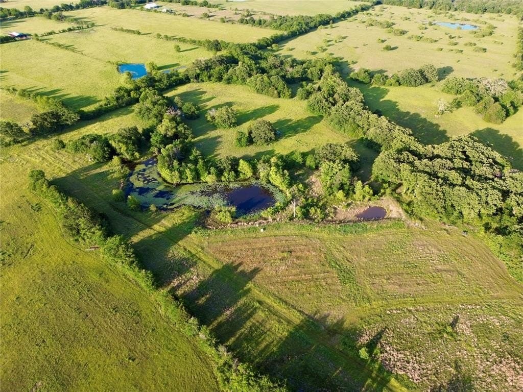 32 acres in Henderson County - photo 5