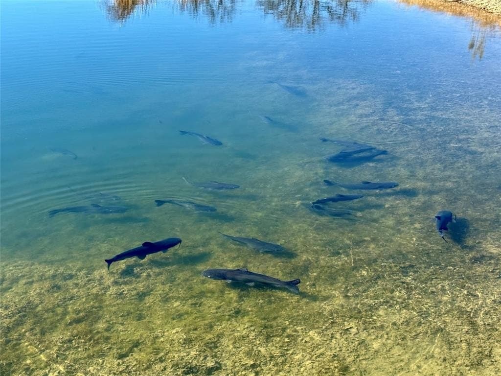 10 acres in Brown County - photo 40
