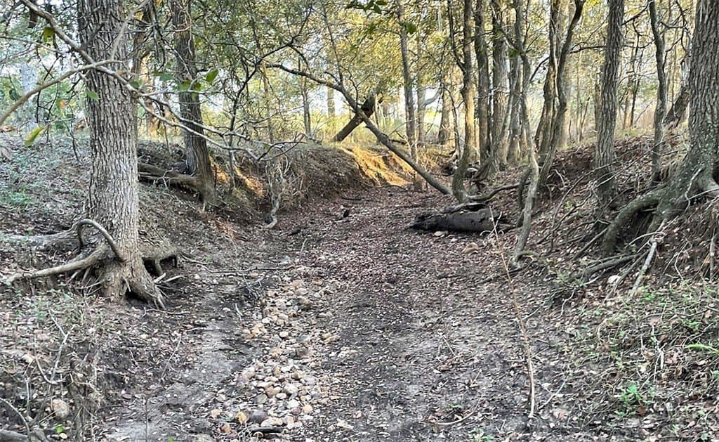 55 acres in Gonzales County - photo 4