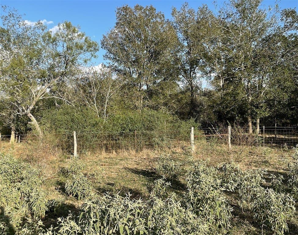 55 acres in Gonzales County - photo 12