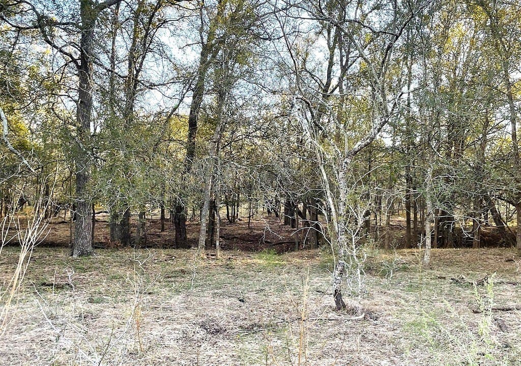 55 acres in Gonzales County - photo 6