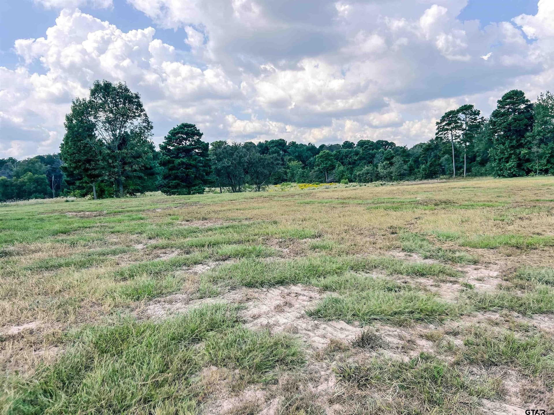 20.4 acres in Camp County - photo 16