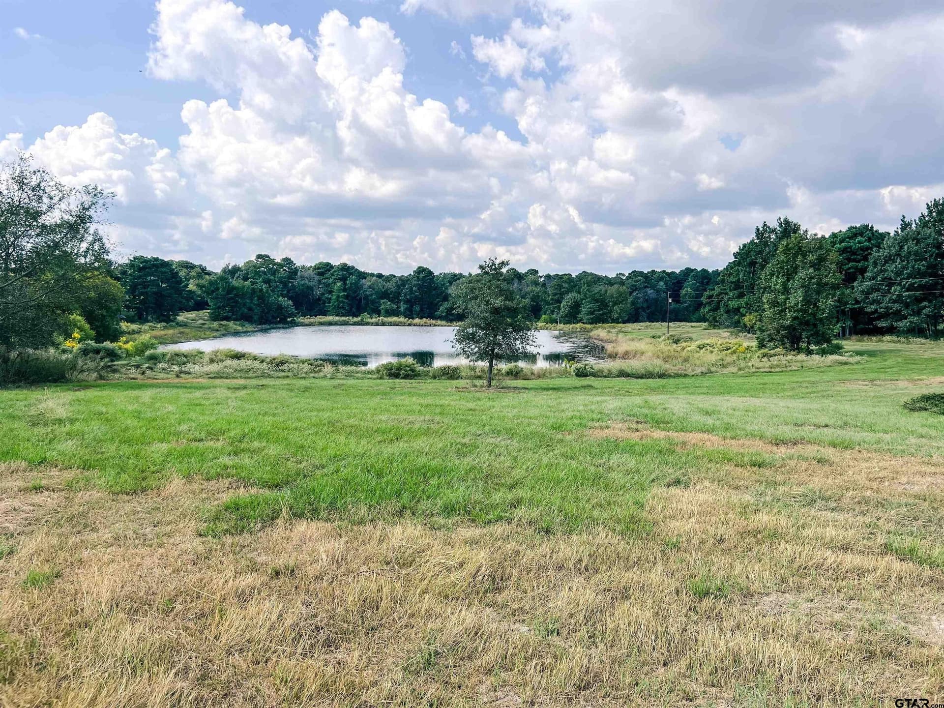 20.4 acres in Camp County - photo 2