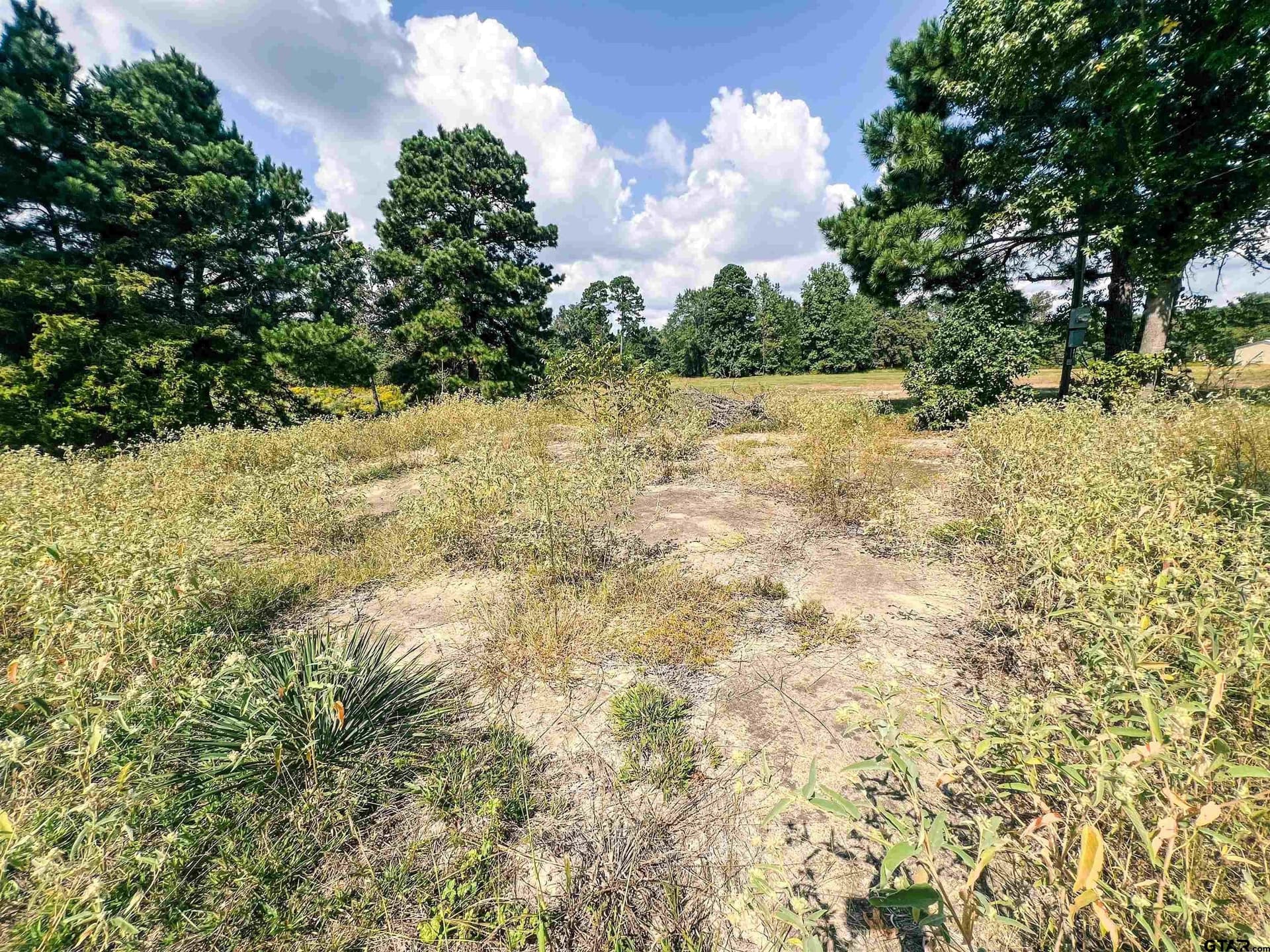 20.4 acres in Camp County - photo 9