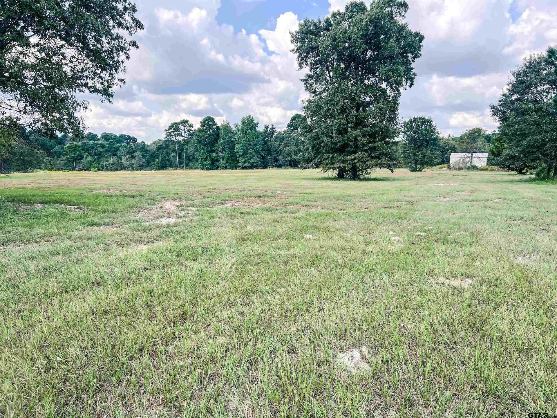 20.4 acres in Camp County - photo 15