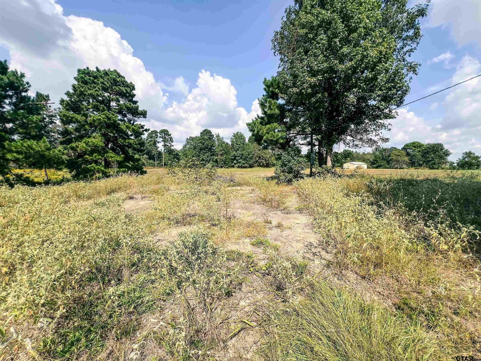 20.4 acres in Camp County - photo 10