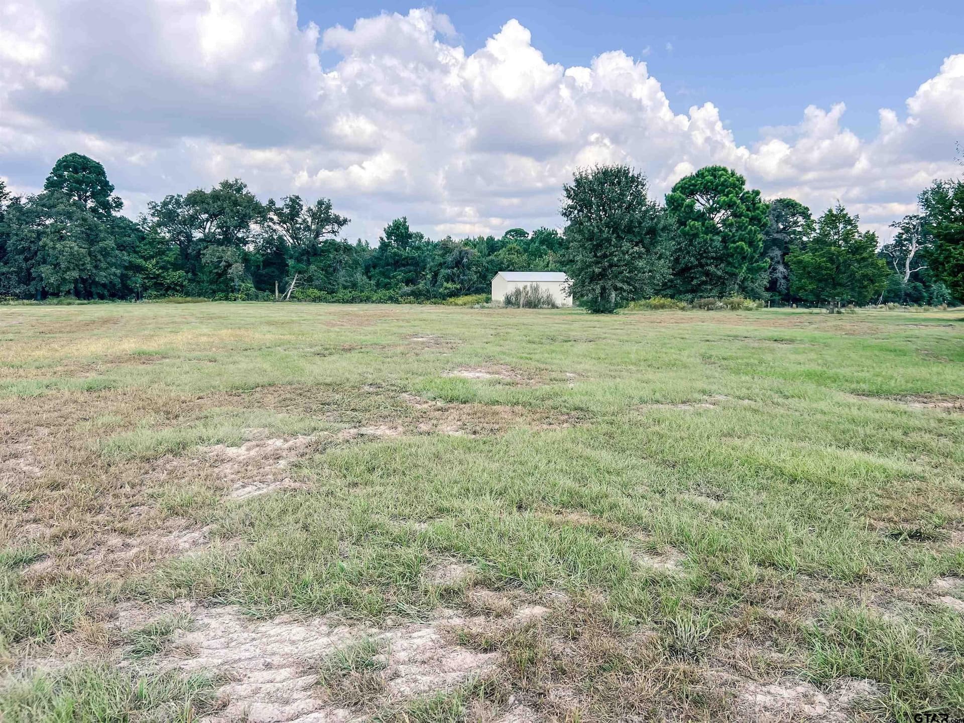 20.4 acres in Camp County - photo 14