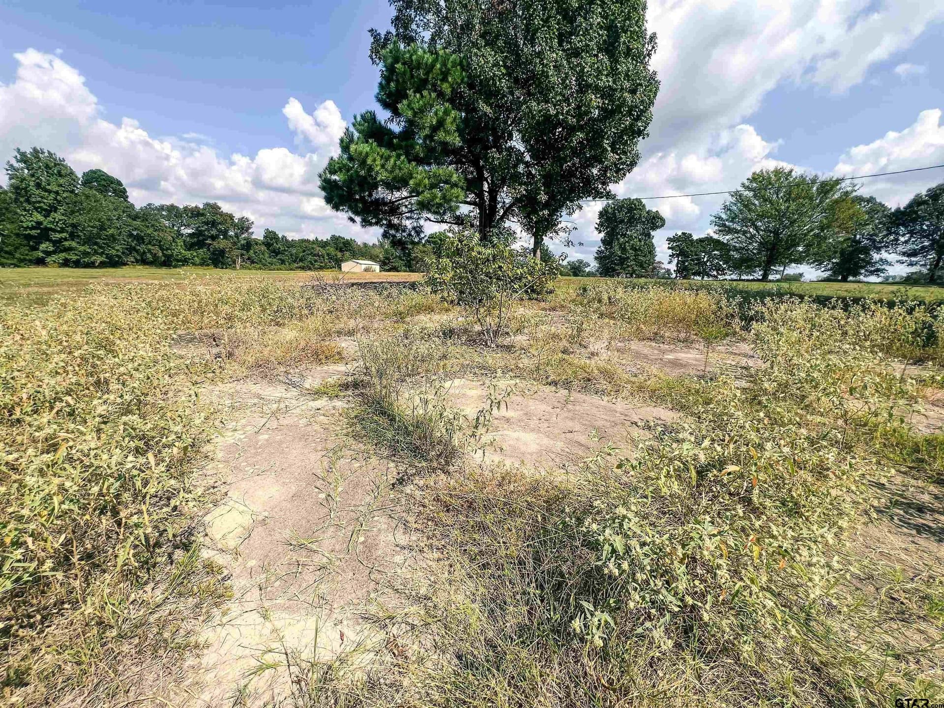20.4 acres in Camp County - photo 11
