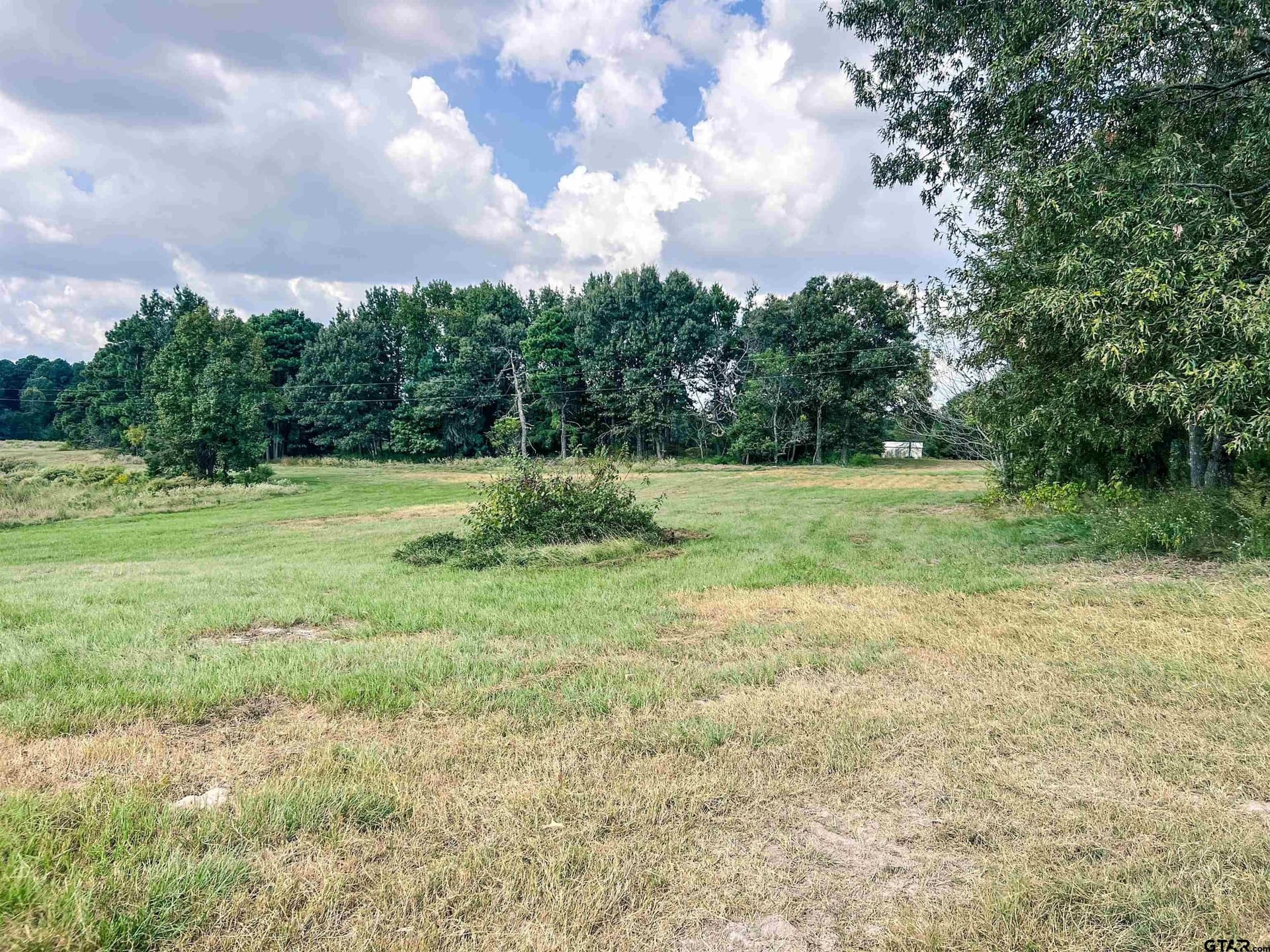 20.4 acres in Camp County - photo 17