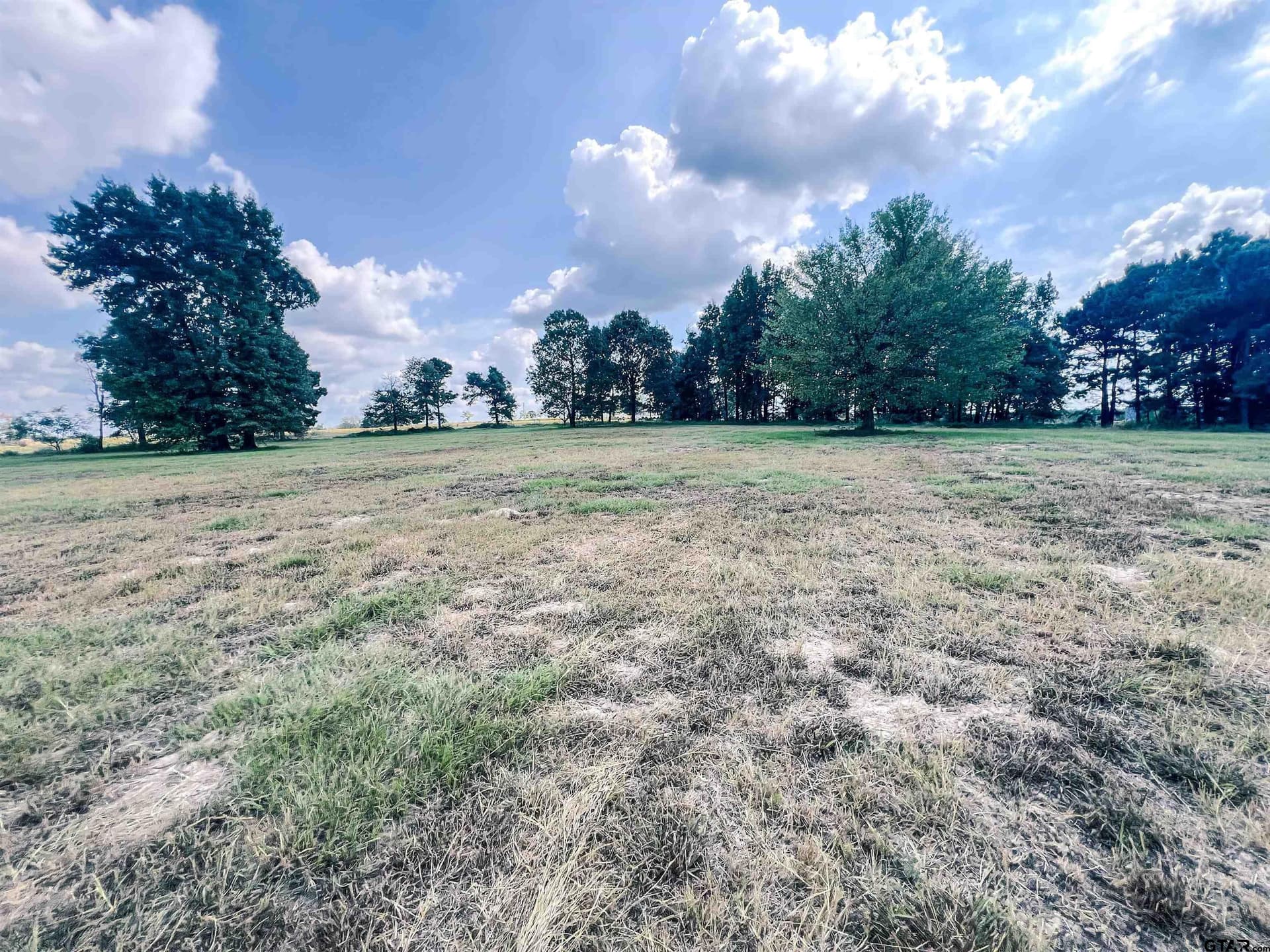 20.4 acres in Camp County - photo 13