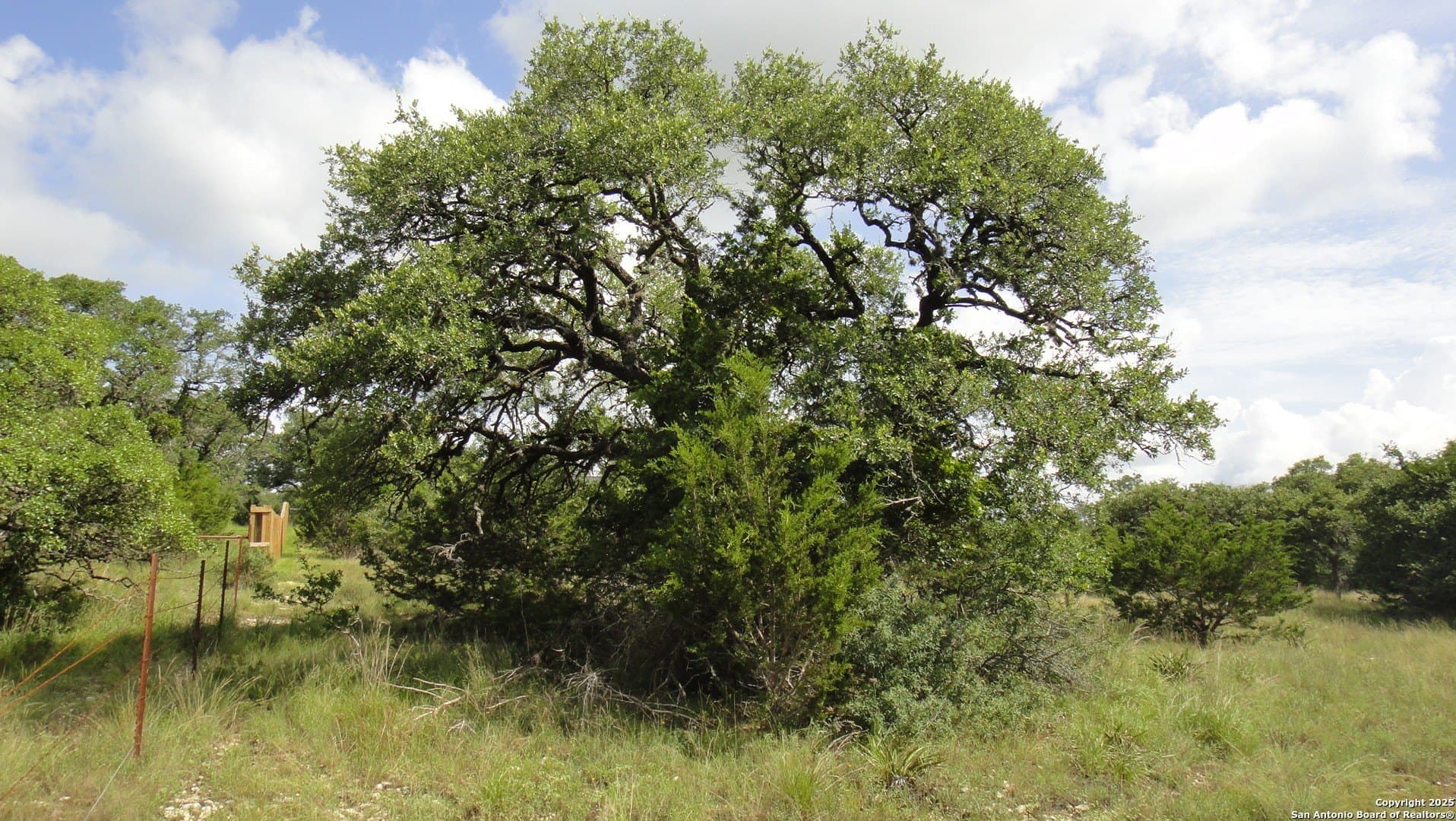 0.39 acres in Blanco County - photo 8