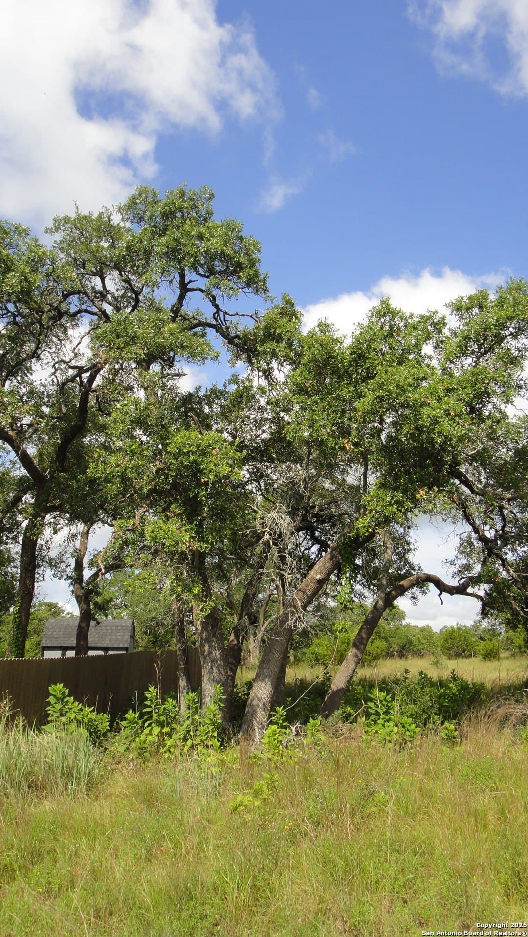 0.39 acres in Blanco County - photo 9