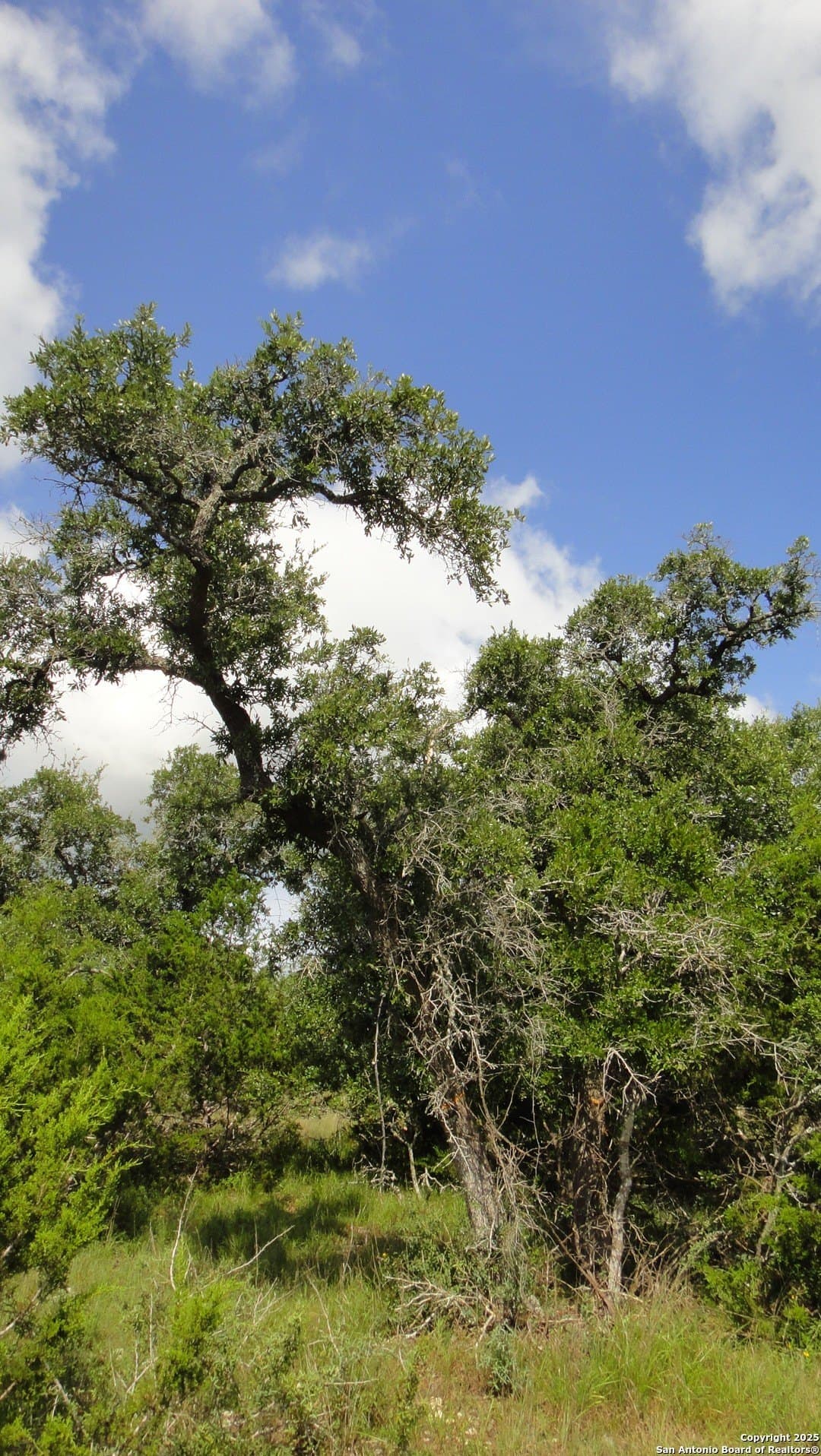 0.39 acres in Blanco County - photo 10