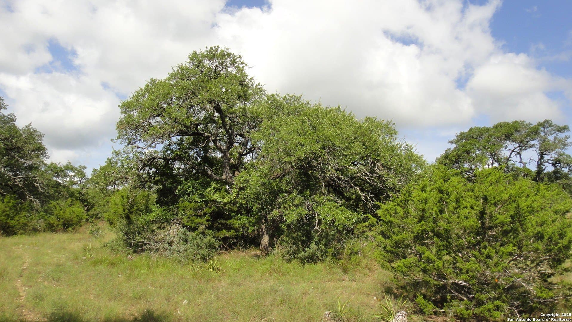 0.39 acres in Blanco County - photo 11