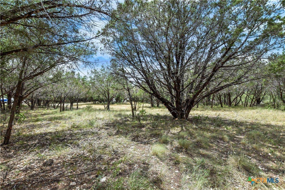 0.24 acres in Travis County - photo 9
