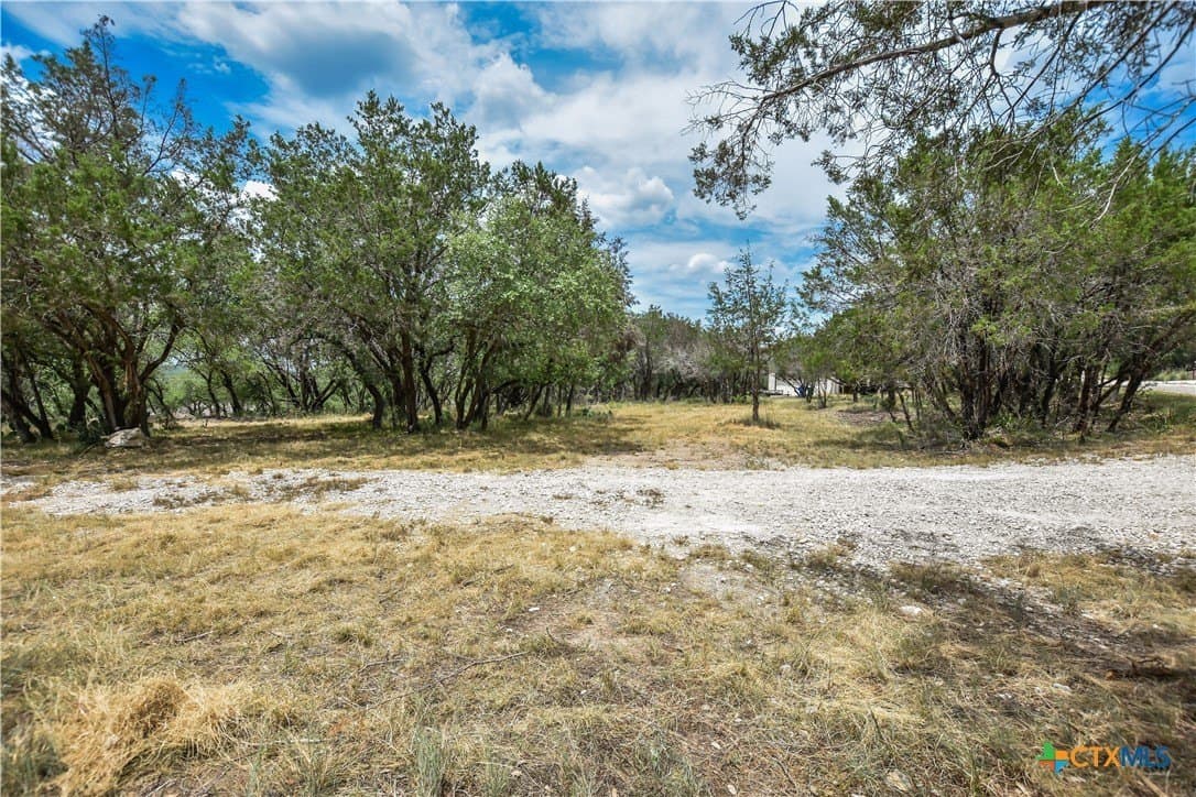 0.24 acres in Travis County - photo 10
