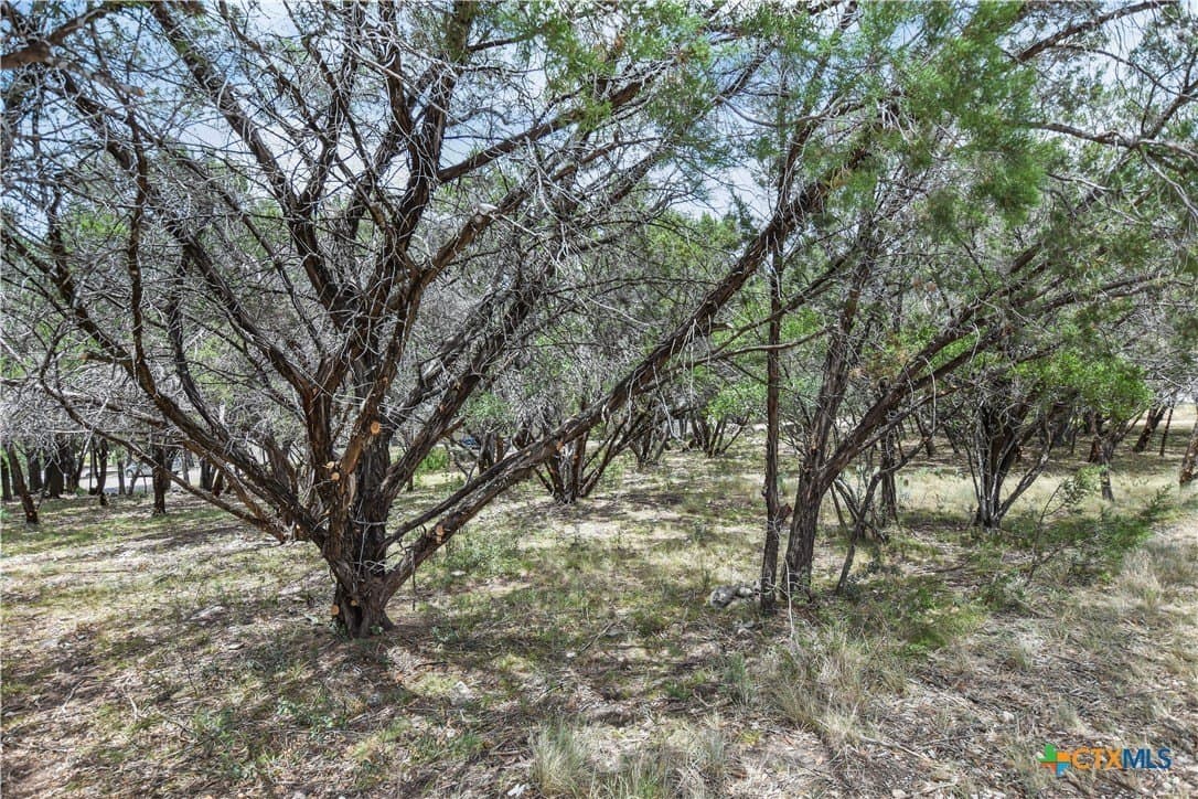 0.24 acres in Travis County - photo 6