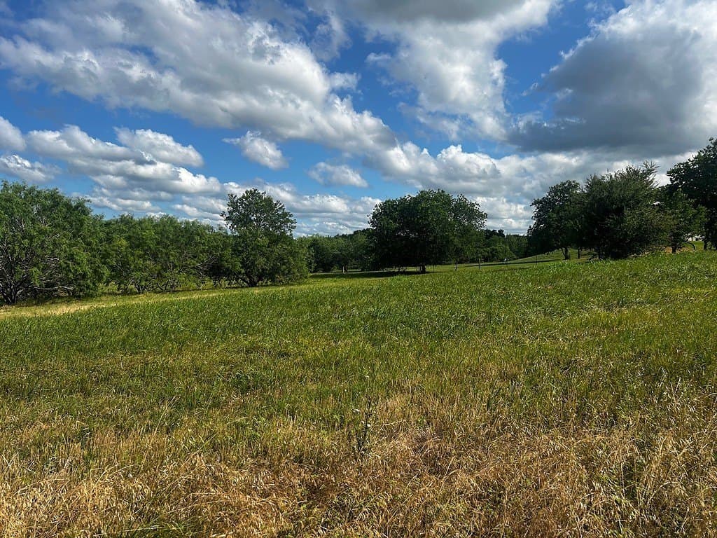 6.81 acres in Fayette County - photo 5