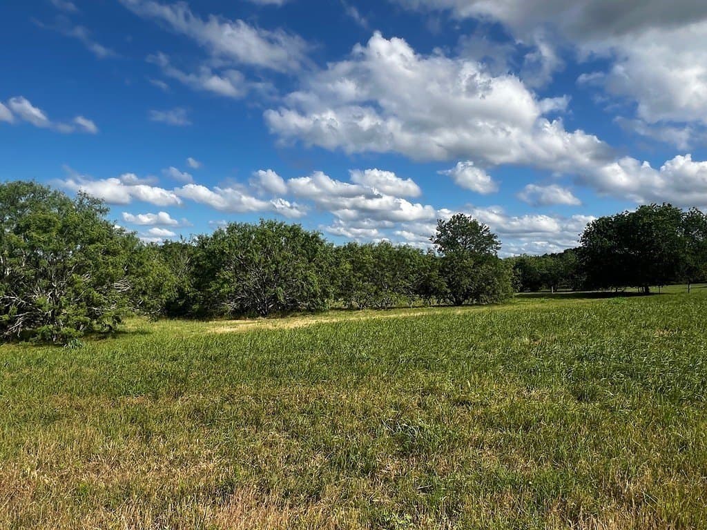 6.81 acres in Fayette County - photo 4