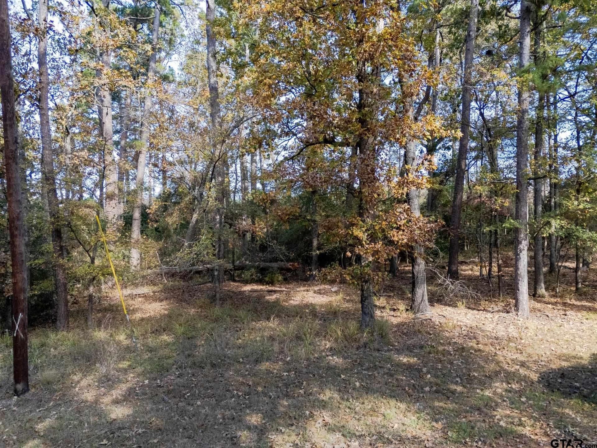 0.47 acres in Wood County - photo 5