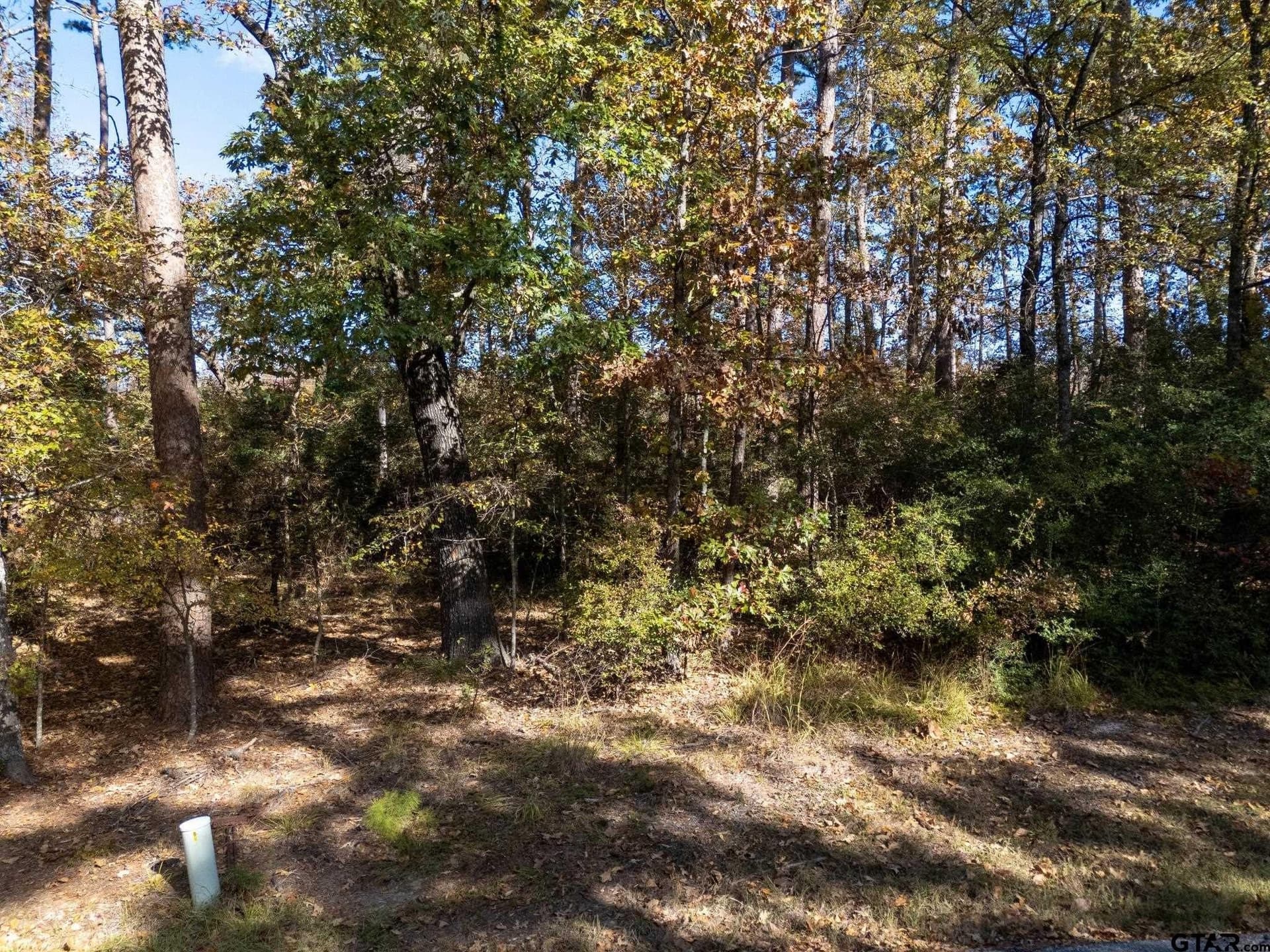 0.47 acres in Wood County - photo 4