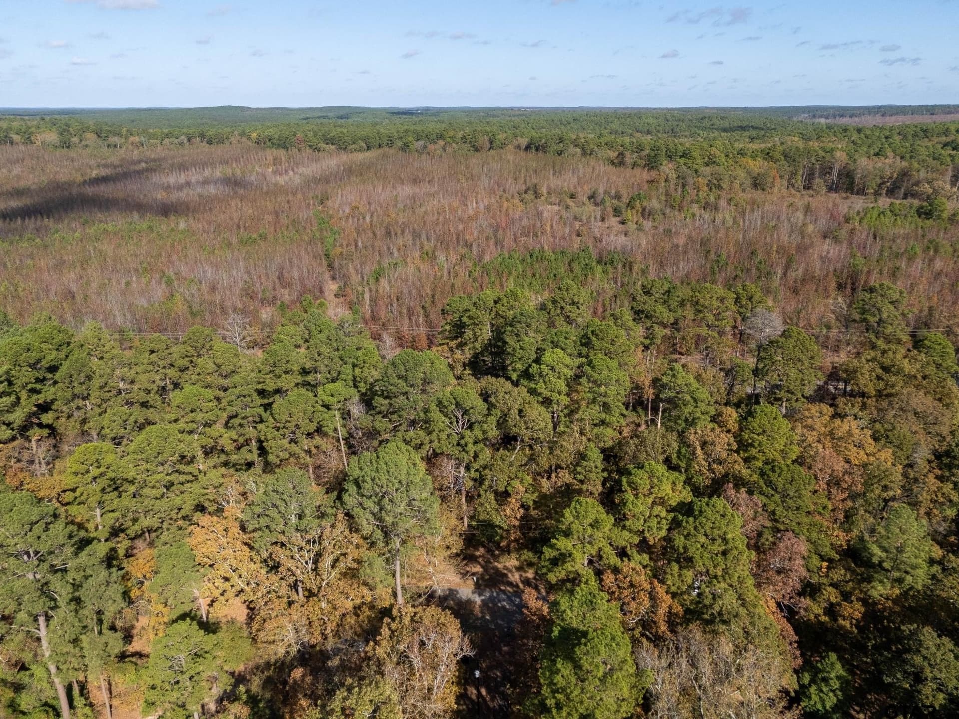 0.47 acres in Wood County - photo 6