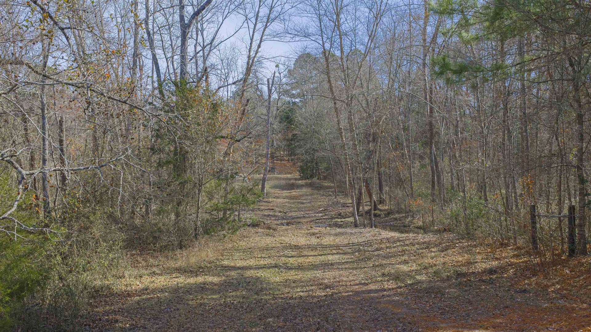 10.03 acres in Upshur County - photo 33