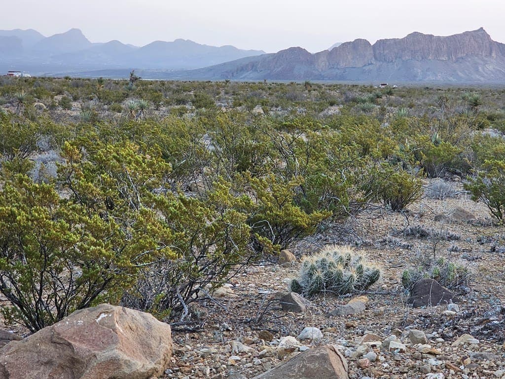 20 acres in Brewster County - photo 4