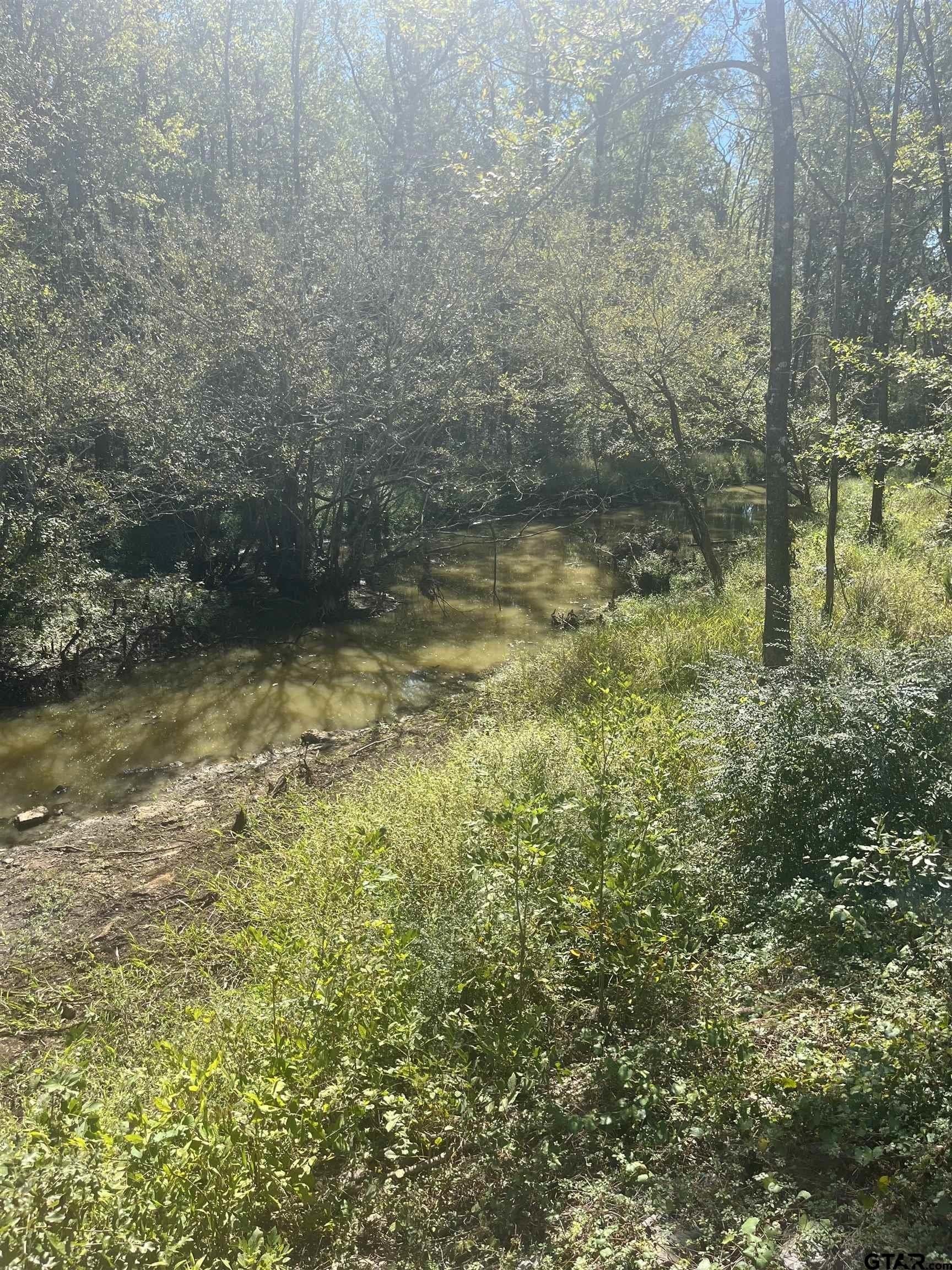 38.48 acres in Harrison County - photo 6