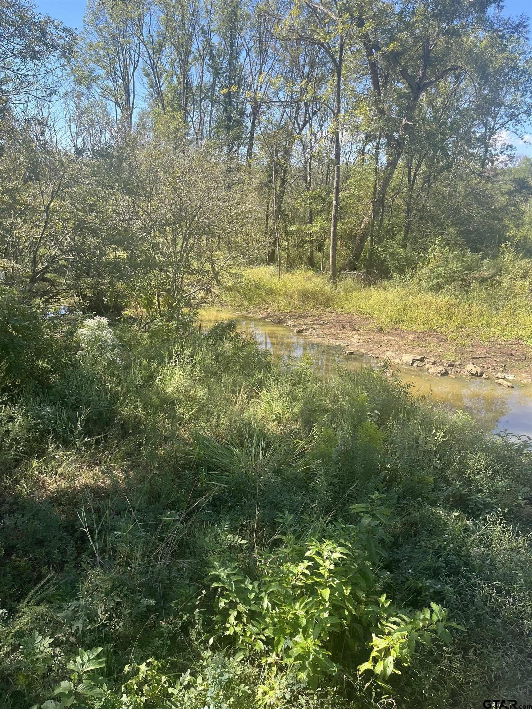 38.48 acres in Harrison County - photo 4
