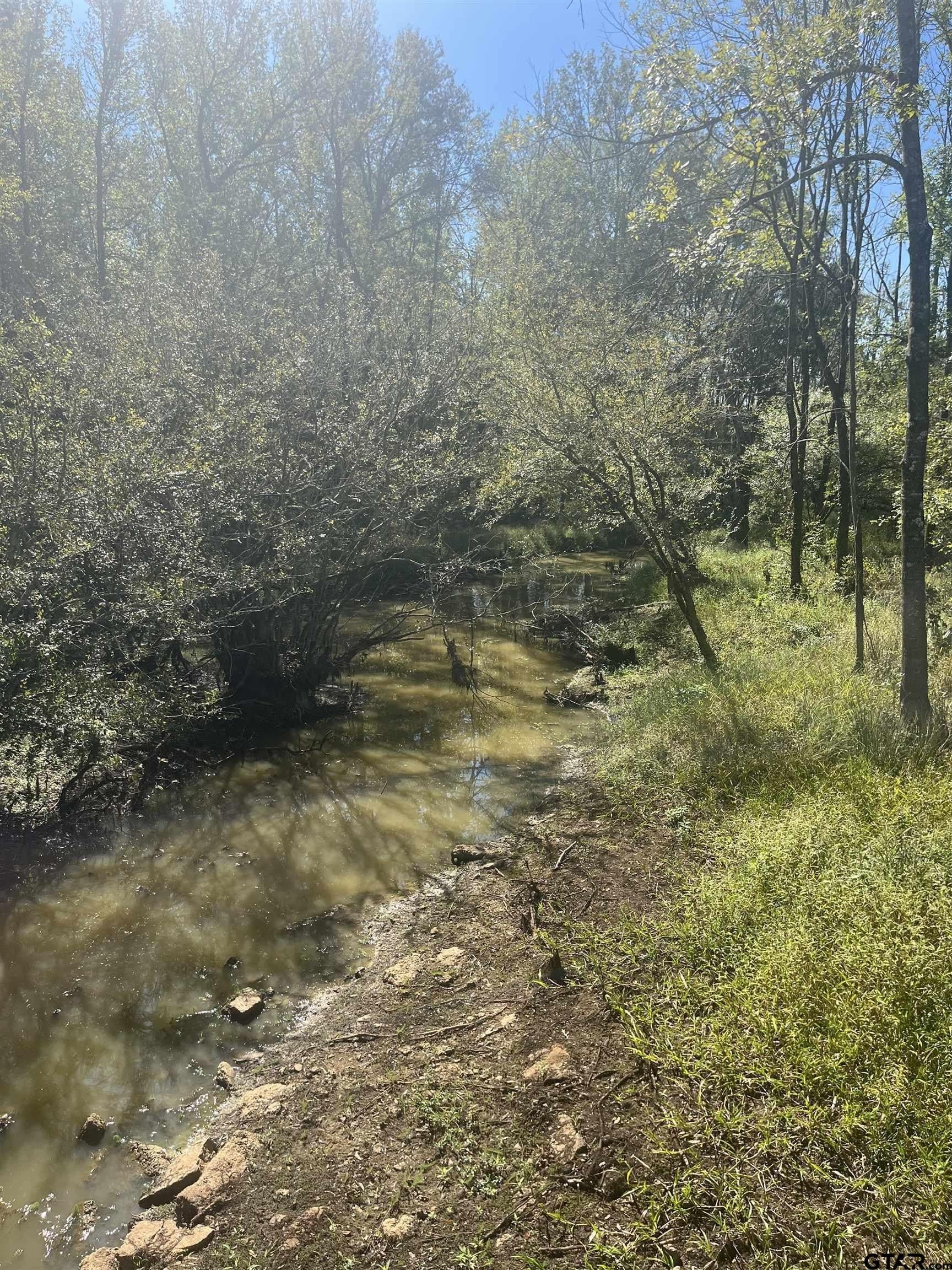 38.48 acres in Harrison County - photo 5