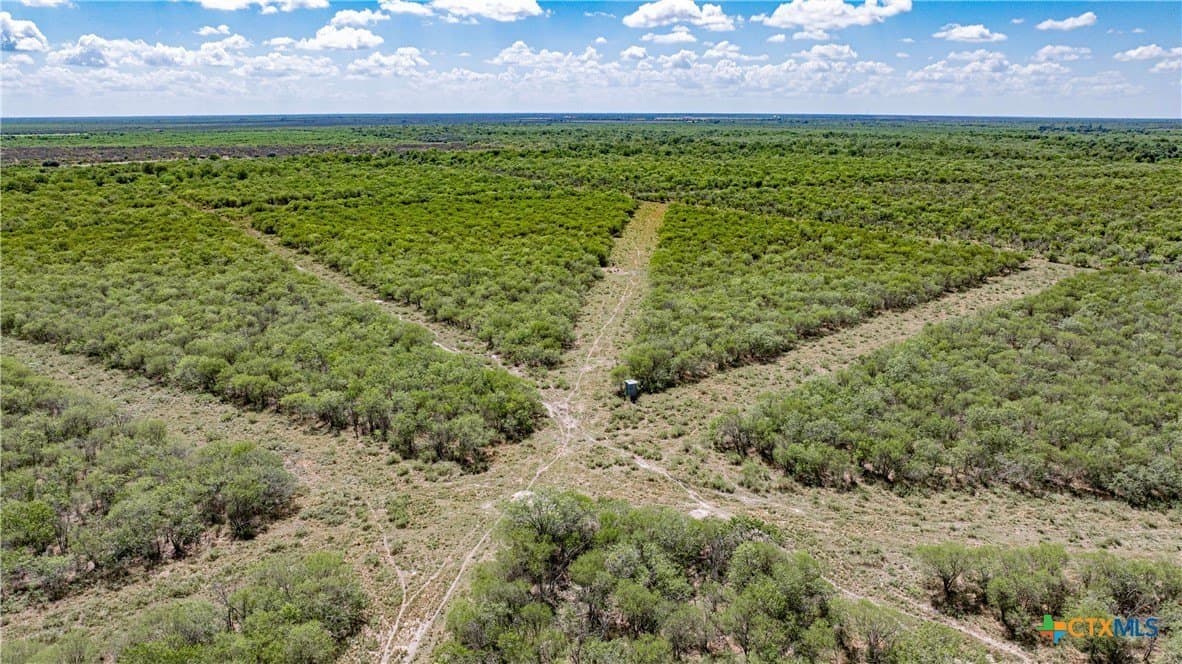 286.12 acres in Victoria County - photo 3