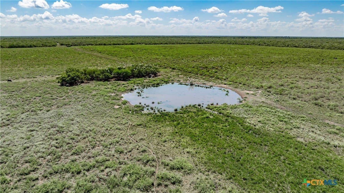 286.12 acres in Victoria County - photo 24