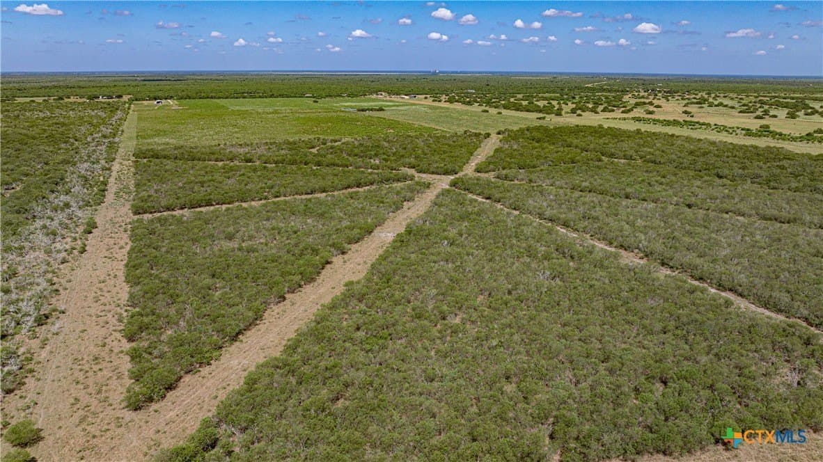 286.12 acres in Victoria County - photo 18
