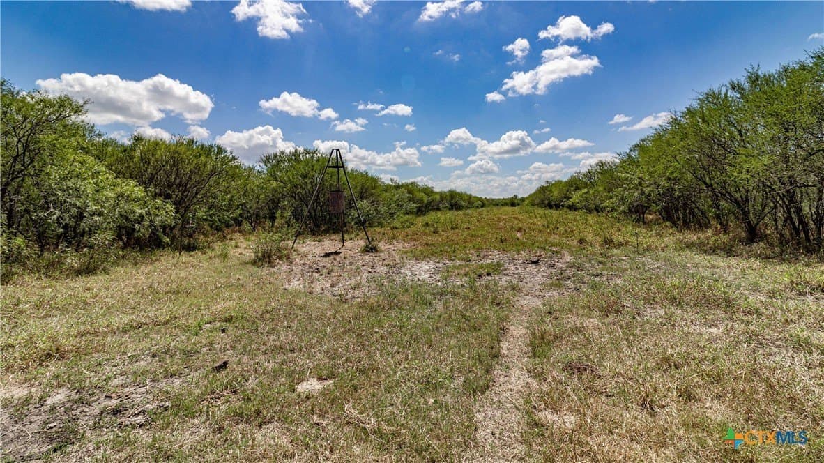 286.12 acres in Victoria County - photo 4