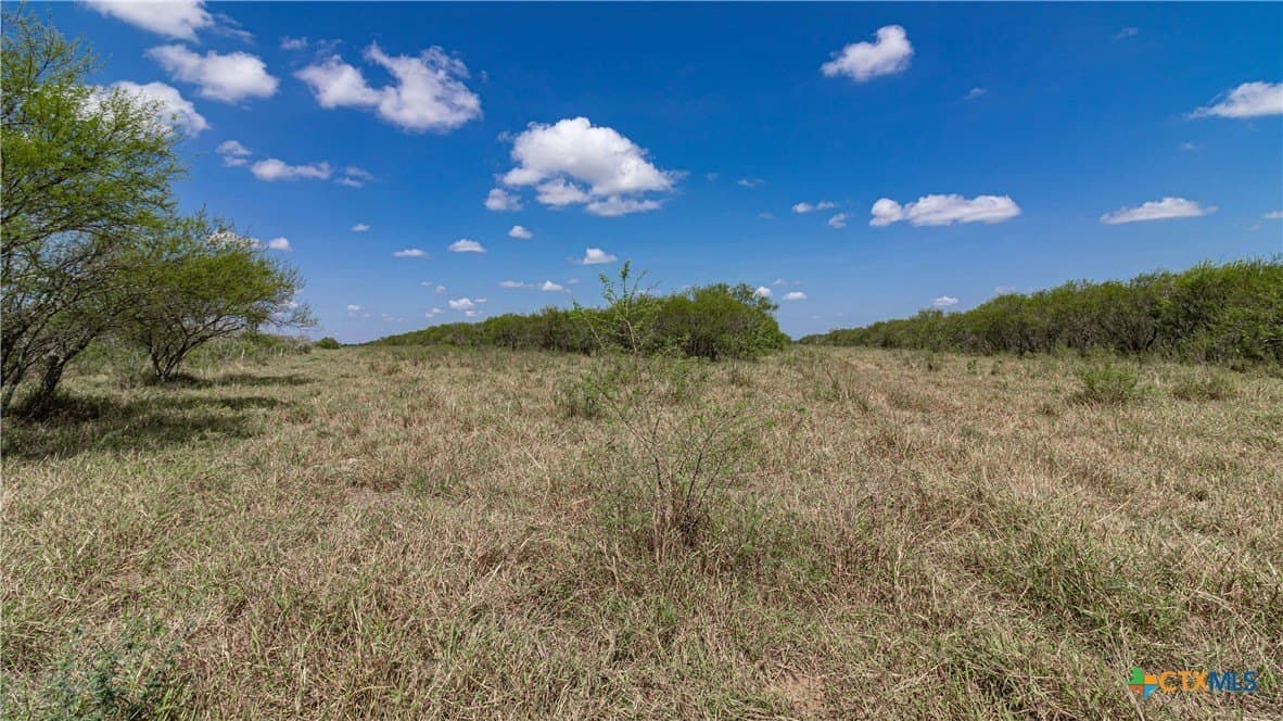 286.12 acres in Victoria County - photo 7