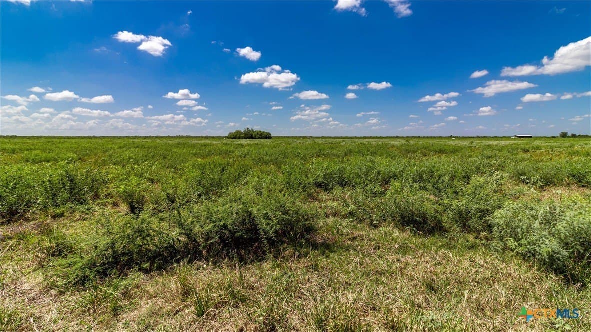 286.12 acres in Victoria County - photo 11