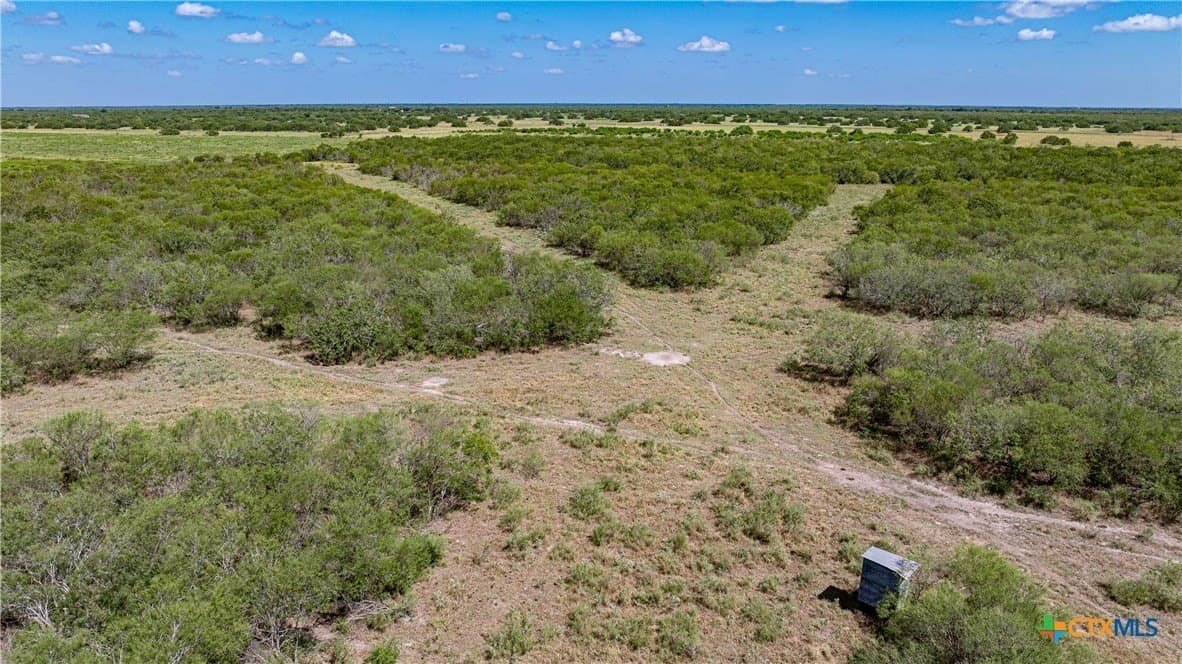 286.12 acres in Victoria County - photo 14