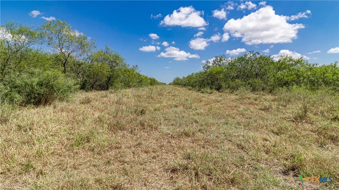 286.12 acres in Victoria County - photo 8