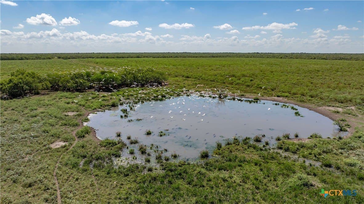 286.12 acres in Victoria County - photo 6