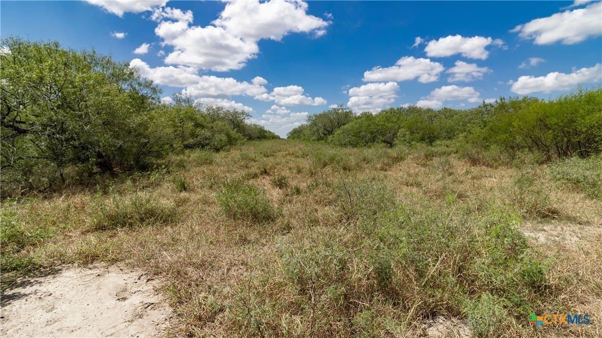 286.12 acres in Victoria County - photo 17