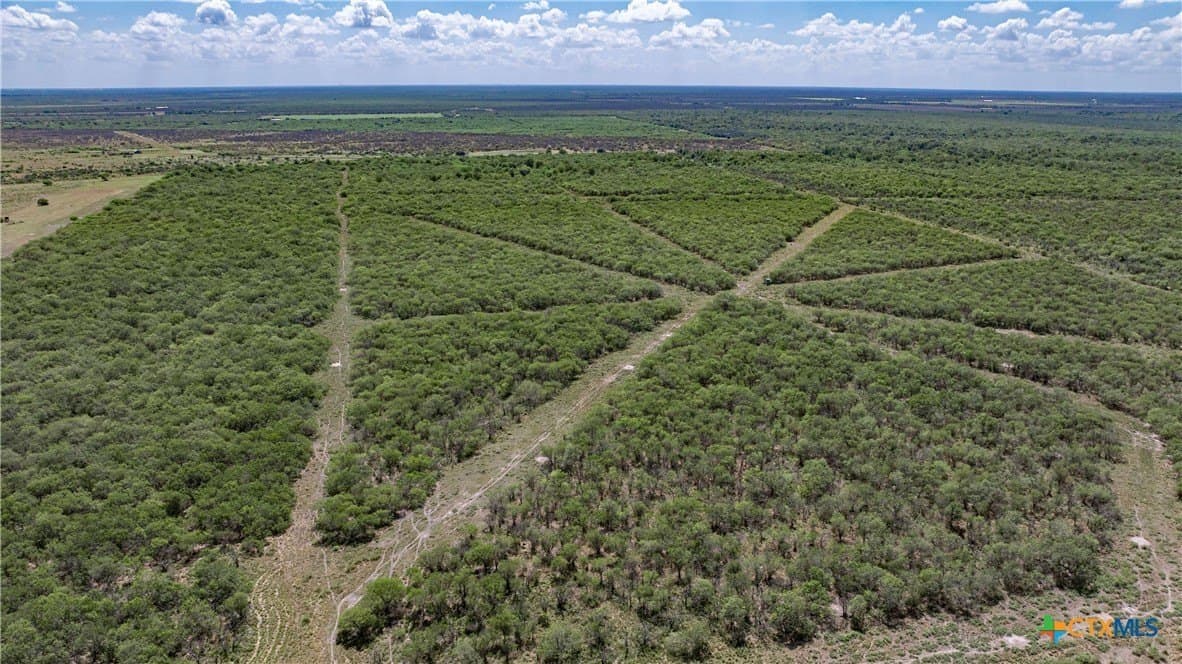 286.12 acres in Victoria County - photo 2