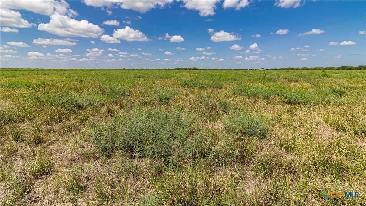 286.12 acres in Victoria County - photo 19